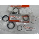 FORK SEALS KIT